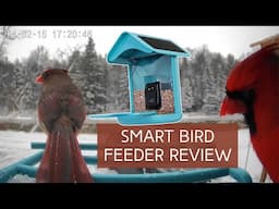 Cuckoo Smart Bird Feeder Review