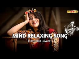 Hindi lofi song 🎶🌹 letest song #hindi #lofi song new shong lo-fi trending songs remix 💞 top mixshong