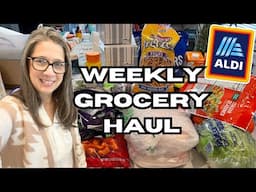 Weekly ALDI Grocery Haul | Looking for Meat Sales!