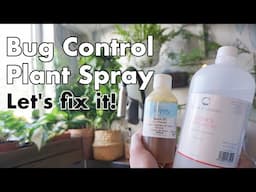 Pest control spray for plants. Treat Mealybug / Aphid infestations.