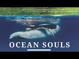 Discover the Extraordinary Lives of Whales and Dolphins | Ocean Souls (2020) | Full Film