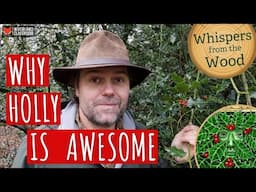 Why Holly Is Awesome (Whispers from the Wood)