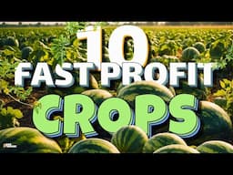 10 Fast Growing Crops for Beginners to Make Money Quickly!