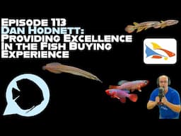 Ep. 113 - Dan Hodnett: Providing Excellence in the Fish Buying Experience