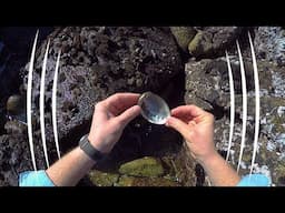 Monterey Bay Tidal Pools, California - (BINAURAL Audio Immersion) - The Sound Traveler