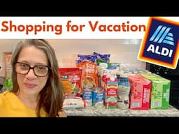 Vacation Grocery Haul | ALDI NEW Fall Finds