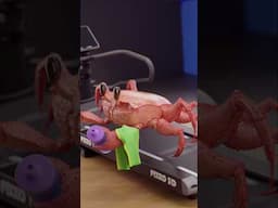 Crab Running On Treadmill - #animals #cute #memes #3d #animation #blender