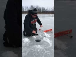 Look at that thing spin. #shorts #hardwater #icefishing #tipup