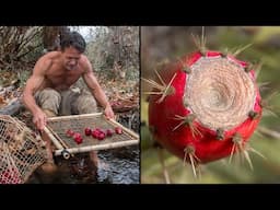 Safest Primitive Way to Gather and Clean Prickly Pear Fruit