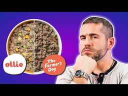 The Farmer’s Dog Vs Ollie: Brutally Honest Dog Food Review