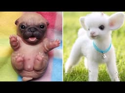 Funniest Animals 2025 😂 Best Funny Cats and Dogs 😻🐶 Part 3 | Cute Baby Dogs