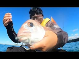 Snapper loves MICRO softbait (NZ Kayak FIshing)