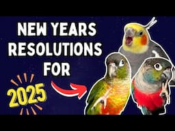 Parrot Owner New Years Resolutions | help your bird to thrive in 2025 | BirdNerdSophie