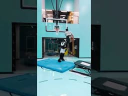 Panda got absolutely POSTERIZED 🐼