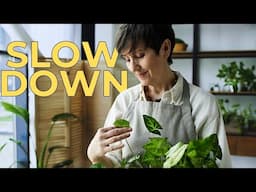 Why You Need to Slow Down Before Life Passes You By | The Recipe Box Parable