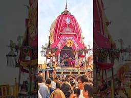 Niladri Bije Of Lord Jagannath shorts | Rath yatra 2023 #rathyatra #puri #jaijagannath #shorts