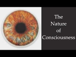 Nisargadatta ~ The Nature of Consciousness