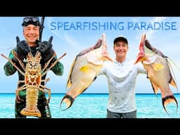 BAHAMAS SPEARFISHING FROM SHORE ~ Giant Fish & Lobster