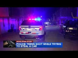 Two 13-year-olds shot while trying to steal car: Police