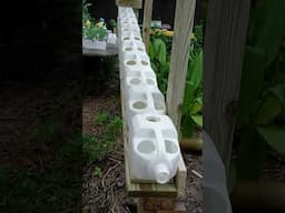 Cheap & Easy Gardening #reducereuserecycle  #garden