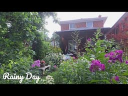 Rainy Day in My Garden | Perennial Plants