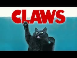 CLAWS! (Jaws OwlKitty parody)