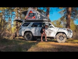 National Forest 4Runner Camping with my Malinois (a new favorite spot!)