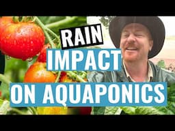 Does Rain & Bad Weather impact your Aquaponics system performance? ⛈🌦