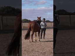 Don't make your horse anxious!