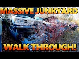 Exploring The BIGGEST Classic Car Junkyard I Have EVER SEEN! So Many Old Cars! (Rohners Auto Parts)