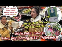 BELANJA MINGGUAN BERAKHIR DENGAN KALAP‼️KALAP BORONG SEMBAKO + BORONG BIBIT BUAT KEBUN😍