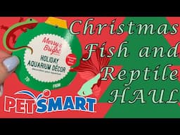 2024 Christmas Fish + Reptile Ornament Haul!