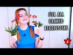 Advice I would give my Orchid beginner self - Orchid Care for Beginners