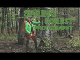 Spring Forest Photography Tips - Landscape Photography