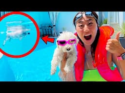 Teaching my Puppy How to Swim!