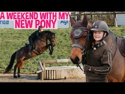 SPEND THE WEEKEND WITH ME AND MY NEW PONY DANDY!