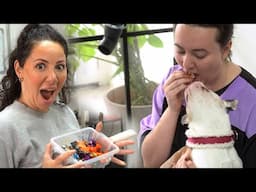 Day in the Life of a Dog Groomer | Today at Hackney Barkers: Ep 11