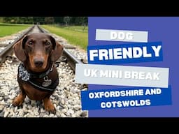 EXPLORING THE UKs ONLY DOG FRIENDLY WILDLIFE PARK | dog friendly mini break Oxfordshire & Cotswolds