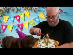 Homemade Dog Food | Birthday Cake Edition