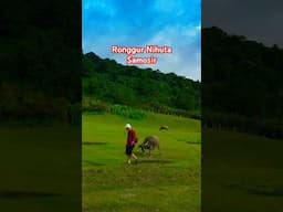 Ronggur Nihuta, Samosir #laketoba360 #danautoba #samosir #travel #wisata #sumut #shortvideo