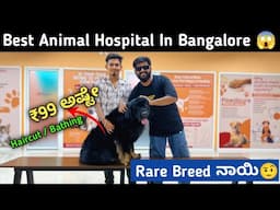 Just 99/-ಗೆ  Haircut / Bathing ಮಾಡಿ ಕೊಡ್ತಾರೆ | Sanchu Animal Hospital | Pet Grooming