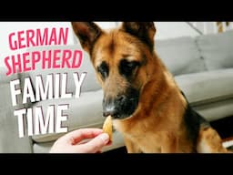 German shepherd and family time eating chips