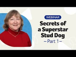 Secrets of a Superstar Stud Dog Webinar Part 1