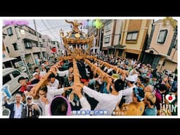 令和６年　有馬神明神社 例大祭  本社神輿おもてなし渡御  関東最大級の神輿　迫力満点です（ video 61）　　。