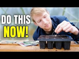 Sow Seeds In JANUARY For A Head Start! Gardening For Beginners