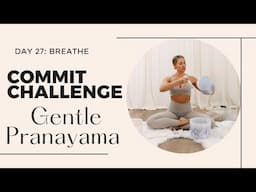 10 Minute Pranayama Breathwork | 30 day Yoga Challenge, Day 27