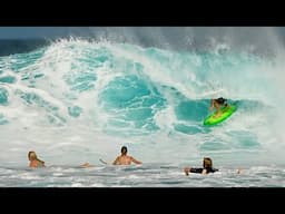 Mason Ho Surfing New …Lost Pisces Fish With Baby Bear