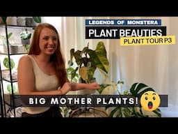 P3. Plant Tour with HUGE Philodendron Strawberries & Variegated Monstera | Plant Beauties Series