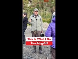 This is What I do-Teaching Birds In flight