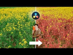 How to Change the Color of Anything in Davinci Resolve 19